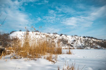 Winter park in the snow in the evening.の写真素材