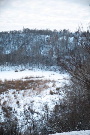 Winter park in the snow in the evening.