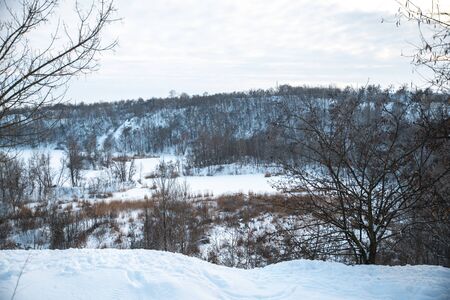 Winter park in the snow in the evening.の写真素材