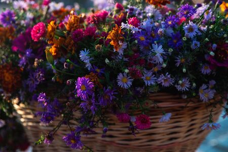 Macro multicolored wildflowers in a wicker basket.の写真素材