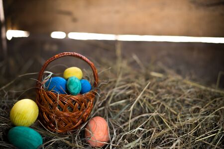 Easter eggs in a basket on a hay with a blurred background.の写真素材