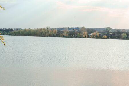 Summer sunny landscape on the pond on a spring warm day.の写真素材