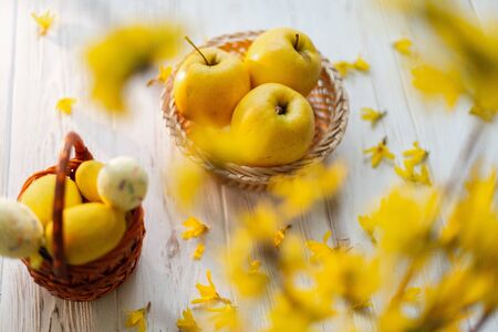 Yellow easter eggs in a basket on a white background.の写真素材
