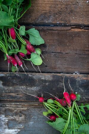 Radish with a summer house on a wooden old backgroundの写真素材