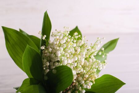 Convalia in a glass vase on a white background,の写真素材