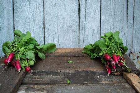 Radish with a summer house on a wooden old backgroundの写真素材