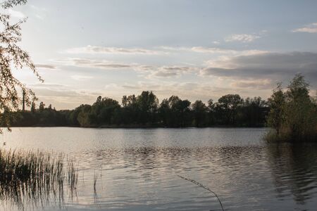 Spring evening landscape in the countryside before the rain.の写真素材