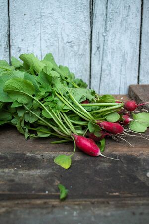 Radish with a summer house on a wooden old backgroundの写真素材