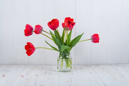 Red tulips on a white wooden background in a glass vase.の写真素材