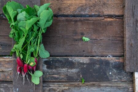 Radish with a summer house on a wooden old backgroundの写真素材