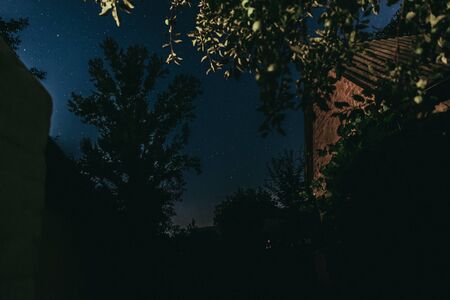 Night starry sky in the village in spring.の写真素材