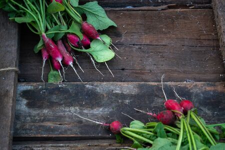 Radish with a summer house on a wooden old backgroundの写真素材