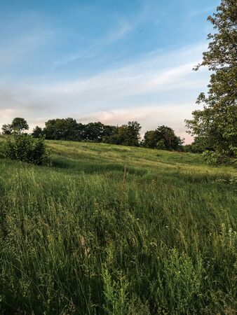 Summer sunny landscape in the countryside outside the city.の写真素材