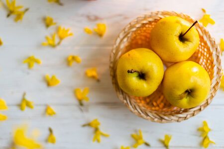 Yellow apples in a basket on a white wooden background.の写真素材