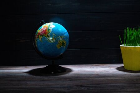 Globe on a black wooden background with a flower in a pot.の写真素材