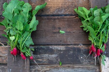 Radish with a summer house on a wooden old backgroundの写真素材