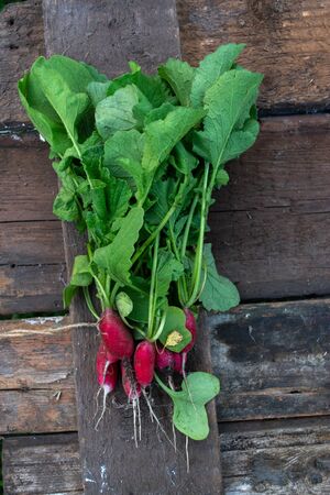 Radish with a summer house on a wooden old backgroundの写真素材