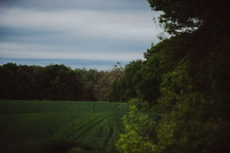 Summer landscape after the rain outside the cityの写真素材