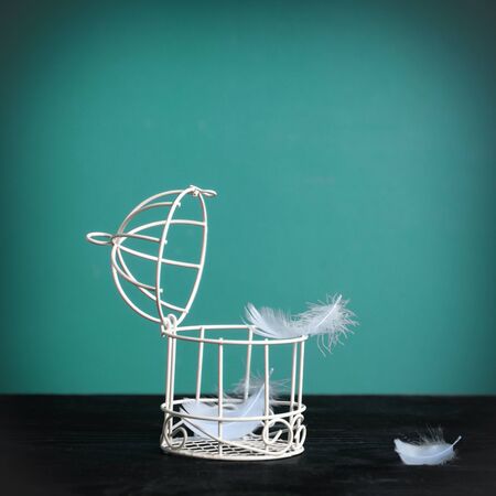 Minimalistic still life of a birdcage on a table and scattered feathers. The concept of freedom, break free, fly away from prison and other associations.の写真素材