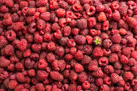 Background from a large pile of fresh farm raspberries. One berry with a green leaf, as an accent.