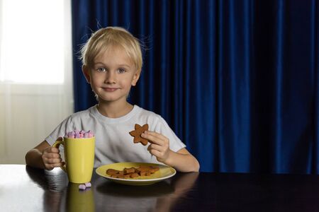 The child has breakfast or an afternoon snack, drinks cocoa with marshmallows and cookies. Lifestyle at home, at a table opposite a window with a blue curtain.の写真素材