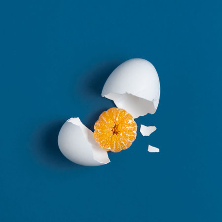 The concept of a broken egg, where instead of yolk peeled mandarin. Comic replacement of animal...