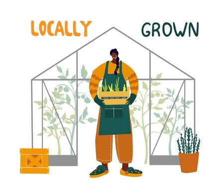 Friendly black woman harvesting fresh tomatoes from the greenhouse garden putting ripe local produce in a basketのイラスト素材