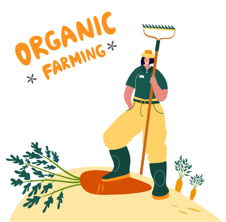 Organic farming. Agricultural workers planting and gathering crops, working on tractor, farmer, farmhouse. Flat cartoon vector illustration. Local grown.のイラスト素材
