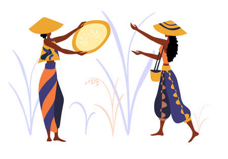 Flat farmer people. Asian farm rice fields vector illustration set. Asia agricultural rice plantations, farming, harvesting.のイラスト素材