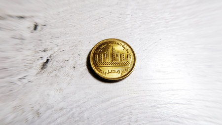 Egyptian coin 50 piastres on a light background (translation of the text on the coin: 50 piaster)