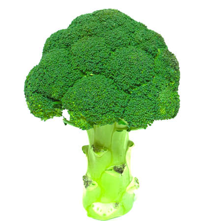 Big bush green fresh broccoli isolated on white background close-up, vegetarians paradiseの写真素材