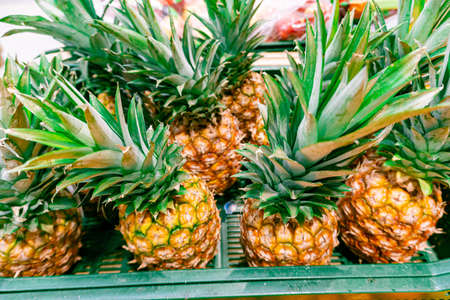 Fresh pineapples for sale in supermarket. A lot of pineapple fruit for background, pineapples are tropical fruit that are rich in vitaminsの写真素材