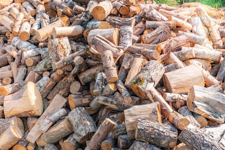 A large pile of sawn firewood background, a sawn tree, preparation of firewood for the winter,...
