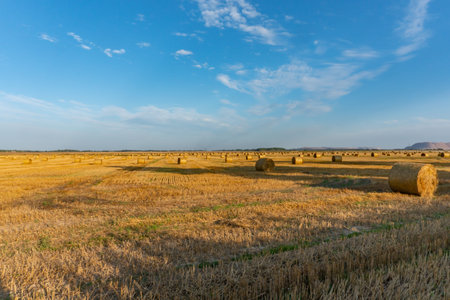 Golden sunset over farm field with hay bales and sun rays. Dry straw pressed into individual straw...