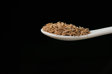 Dried cumin spice seeds on a spoon isolated on a black background. Dry seasoning in spoon. Spices and herbs for cooking ziraの写真素材