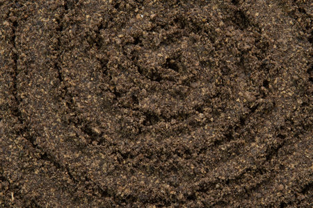 Spiral poured ground black pepper background. Dry seasoning pepper. Spices and herbs for cooking, pepper powderの写真素材