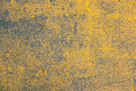 Paint on the Pavement in Yellowの写真素材