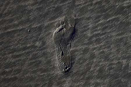 Footprints on the beach sandの写真素材