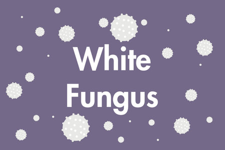 White Fungus disease symbols vector illustration design.のイラスト素材