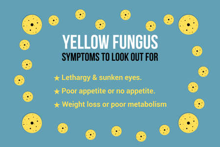 Yellow Fungus disease symptoms infographic and fungus symbols on blue background. Medical awareness vector illustration.のイラスト素材