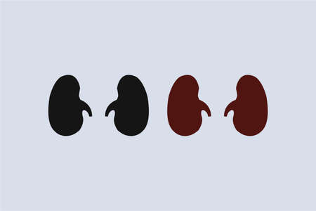 Kidney symbols vector illustration.Â  Human body part vector design.Â のイラスト素材