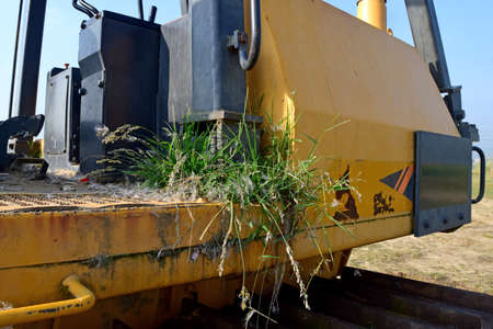 Green grass growing on vehicle.Â  Nature on still life.Â の写真素材