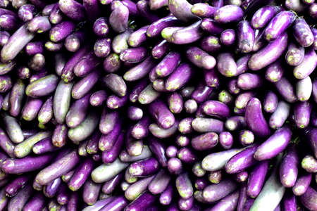 Eggplant vegetables pattern. South Asian Eggplant healthy vegetable foodの写真素材