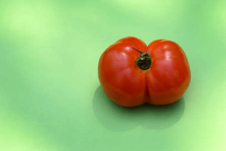 Red tomato healthy vegetable food for human health.の写真素材
