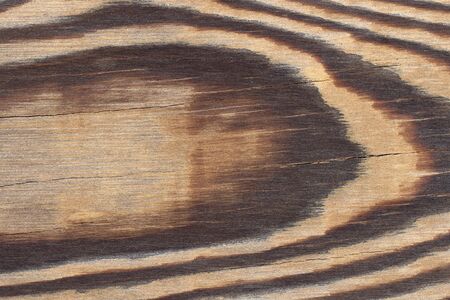 Larch tree wood textureの写真素材