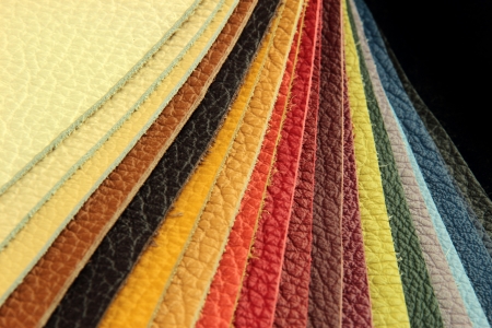 Color palette sample picker of leather materialの写真素材