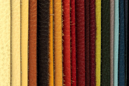 Color palette sample picker of leather material