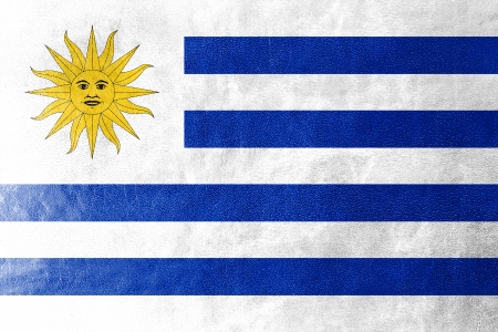 Uruguay Flag painted on leather textureの写真素材