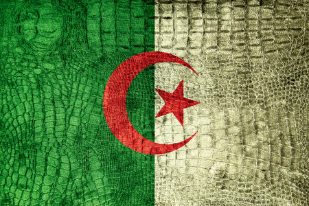 Algeria Flag painted on luxury crocodile textureの写真素材