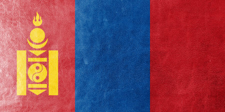 Mongolia Flag painted on leather textureの写真素材